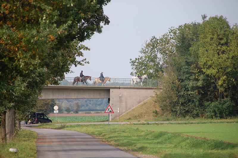 Tagesausritt Oktober 2008023.JPG